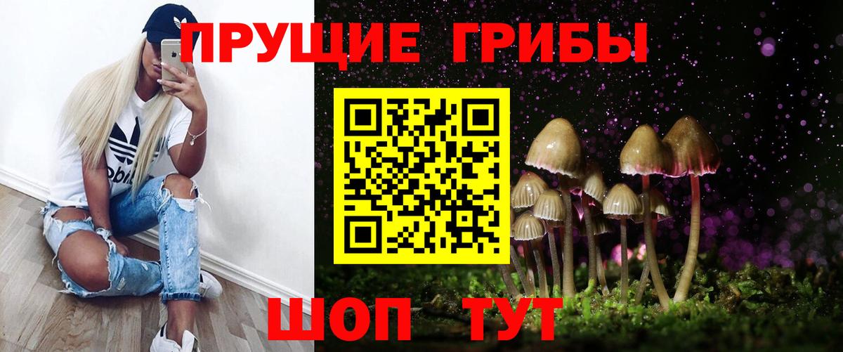 Ивантеевка  Псилоцибиновые грибы Psilocybine cubensis  Вход с VPN 